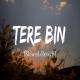 Tere Bin (Slowed Reverb) Lofi Mix